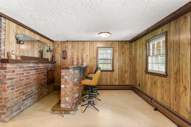 15 Glen Dr, South Salem, NY 10590 - bar area featuring healthy amount of natural light, a baseboard heating unit, a textured ceiling, tile patterned floors, and wood walls