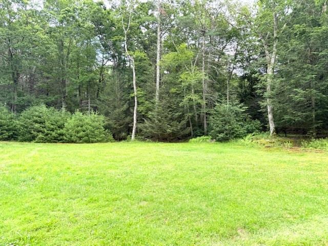 60 Collins Rd, Eldred, NY 12732 - photo 3
