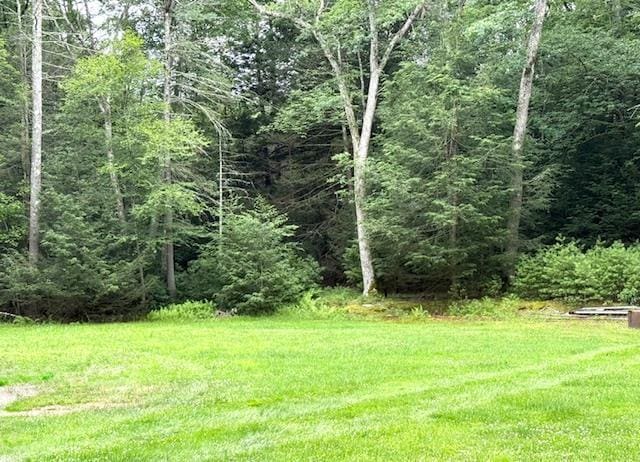 60 Collins Rd, Eldred, NY 12732 - photo 12