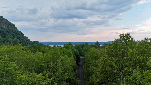 5 Badi Dr, Nyack, NY 10960 - photo 1