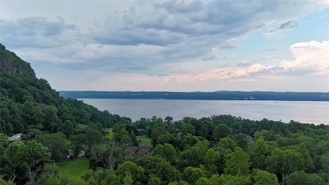 5 Badi Dr, Nyack, NY 10960 - photo 3