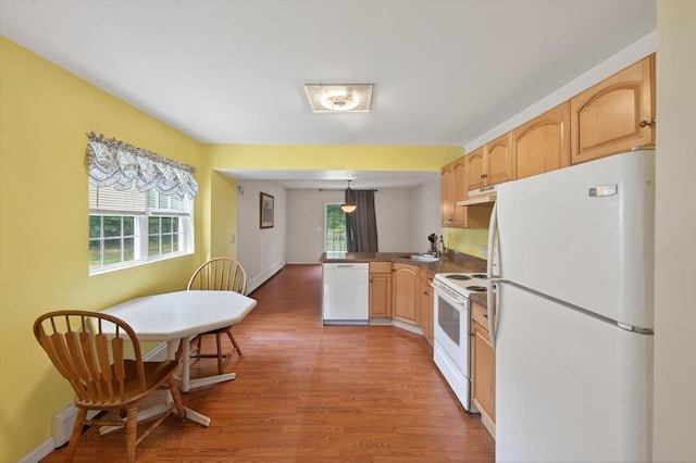 459 Wellwood Dr, Shirley, NY 11967 - photo 8