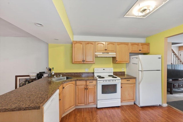 459 Wellwood Dr, Shirley, NY 11967 - photo 9