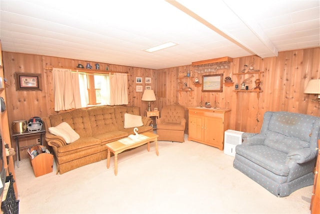 43 Circuit Rd, Bellport, NY 11713 - carpeted living area with wood walls