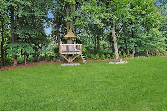 144 Hungerford Rd N, Briarcliff Manor, NY 10510 - photo 36