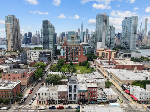 46-40 Vernon Blvd Unit 2B, Long Island City, NY 11101 - view of city skyline