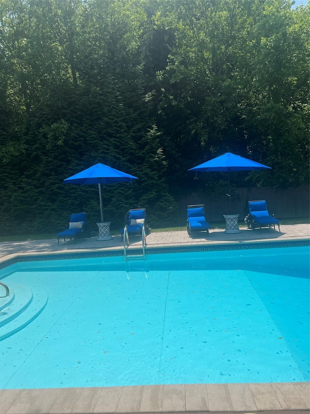 9 Roselawn Rd, Highland Mills, NY 10930 - view of swimming pool