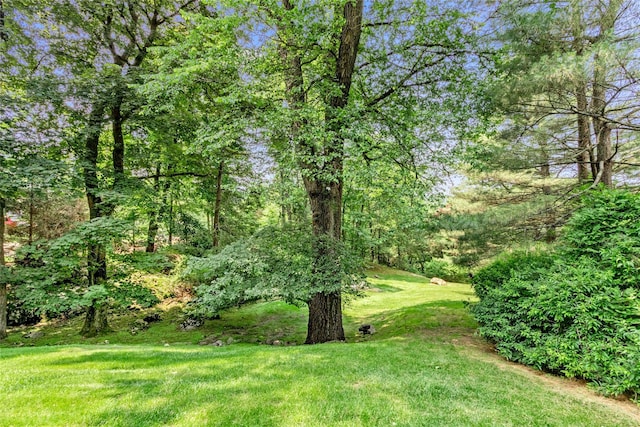 94 Cliff Rd, Tuxedo Park, NY 10987 - photo 7