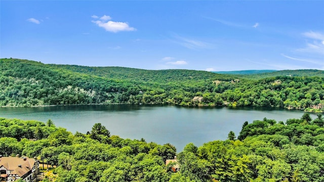 94 Cliff Rd, Tuxedo Park, NY 10987 - photo 17