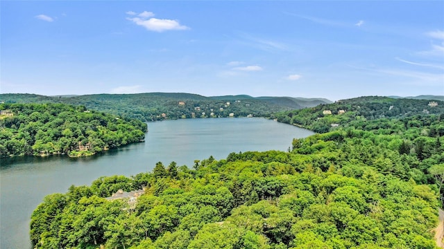 94 Cliff Rd, Tuxedo Park, NY 10987 - photo 18