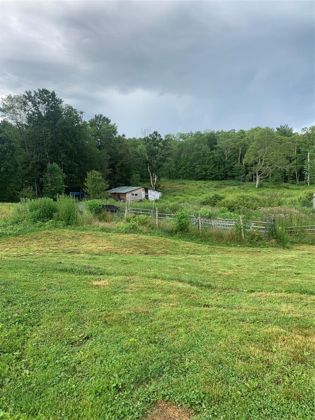 3 Burr Rd, Cochecton, NY 12726 - view of green lawn with a view of countryside and a view of trees