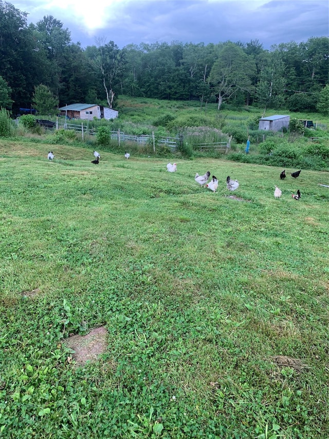 3 Burr Rd, Cochecton, NY 12726 - view of yard featuring a view of countryside