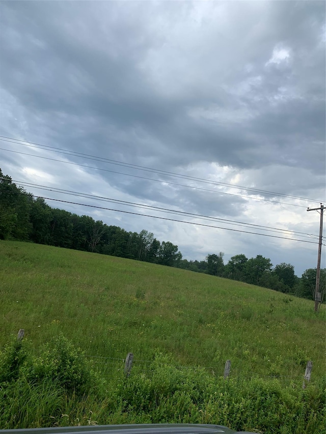 3 Burr Rd, Cochecton, NY 12726 - view of nature