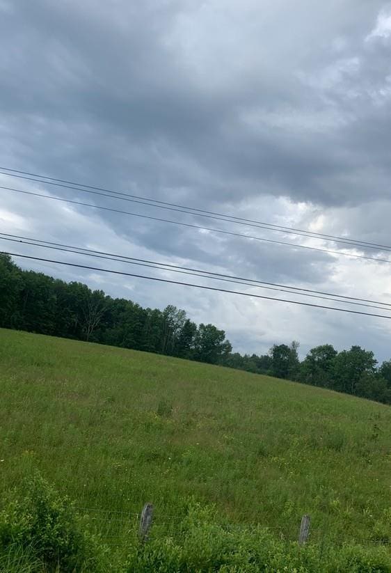 3 Burr Rd, Cochecton, NY 12726 - view of woods