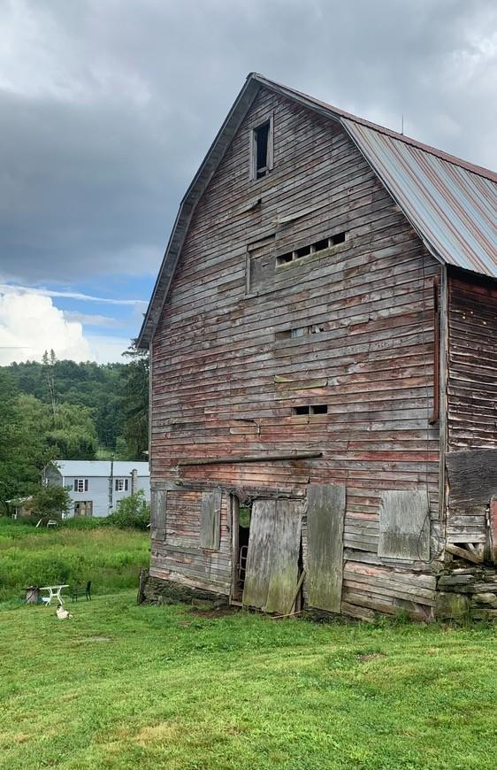3 Burr Rd, Cochecton, NY 12726 - view of side of home featuring a barn, a lawn, an outbuilding, and a metal roof