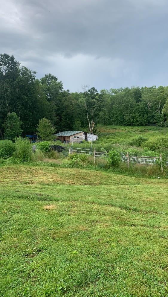 3 Burr Rd, Cochecton, NY 12726 - view of grassy yard featuring a rural view and a forest view