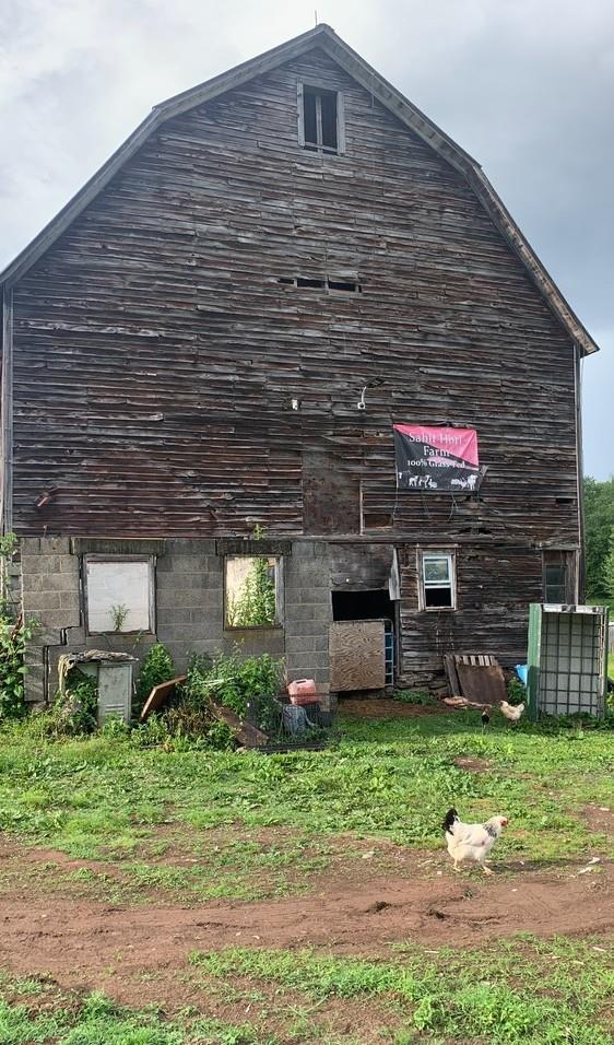 3 Burr Rd, Cochecton, NY 12726 - view of side of home