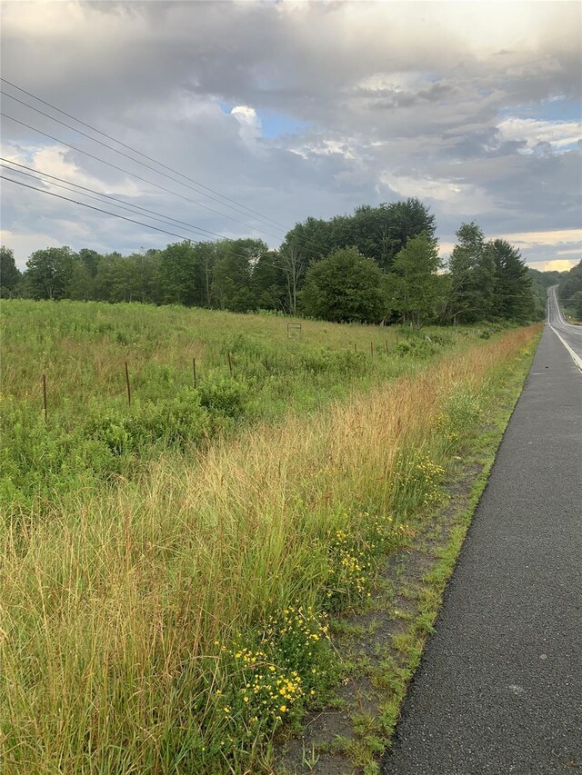 3 Burr Rd, Cochecton, NY 12726 - view of asphalt road featuring a view of countryside