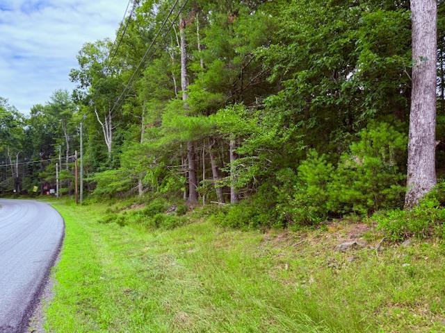 LOT42 Leers Rd, Glen Spey, NY 12737 - photo 1