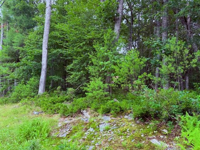 LOT42 Leers Rd, Glen Spey, NY 12737 - photo 2