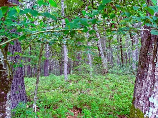 LOT42 Leers Rd, Glen Spey, NY 12737 - photo 3