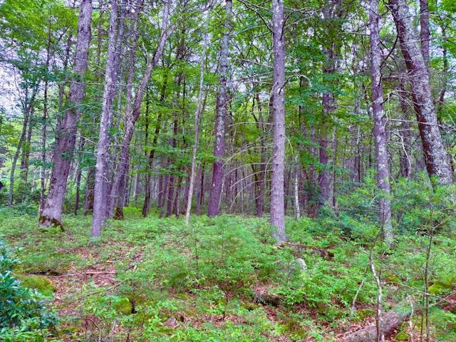 LOT42 Leers Rd, Glen Spey, NY 12737 - photo 4