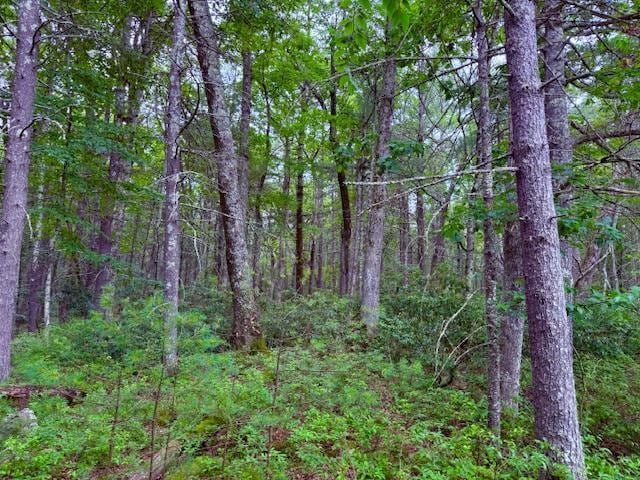 LOT42 Leers Rd, Glen Spey, NY 12737 - photo 5