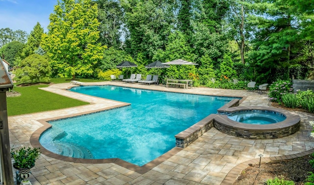 259 Lakeview Ave W, Brightwaters, NY 11718 - view of pool with a patio area, a pool with connected hot tub, and a diving board