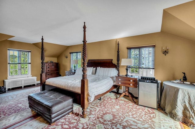 259 Lakeview Ave W, Brightwaters, NY 11718 - bedroom with radiator heating unit and lofted ceiling