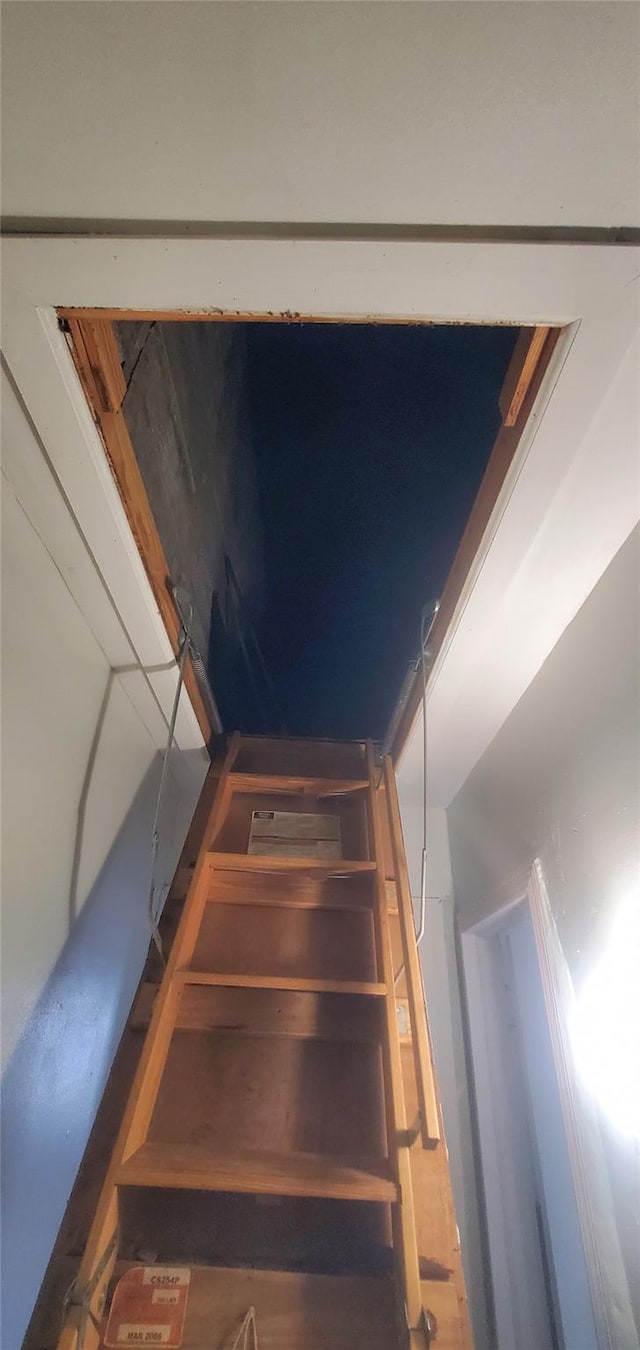 1132 E 42nd St, Brooklyn, NY 11210 - photo 11