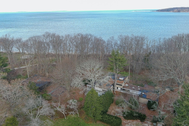 145 Centre Island Rd, Centre Island, NY 11771 - photo 13