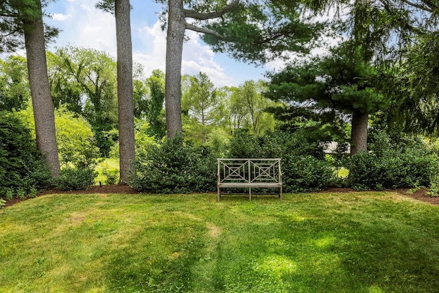 199 Eichybush Rd, Kinderhook, NY 12106 - photo 34