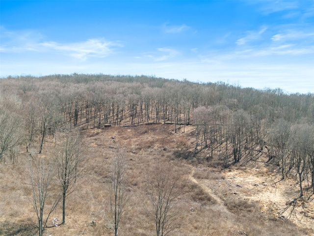 70 Barmore Rd, Lagrangeville, NY 12540 - photo 47