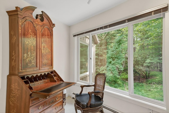 27 Old Wagon Rd, Woodstock, NY 12498 - photo 27