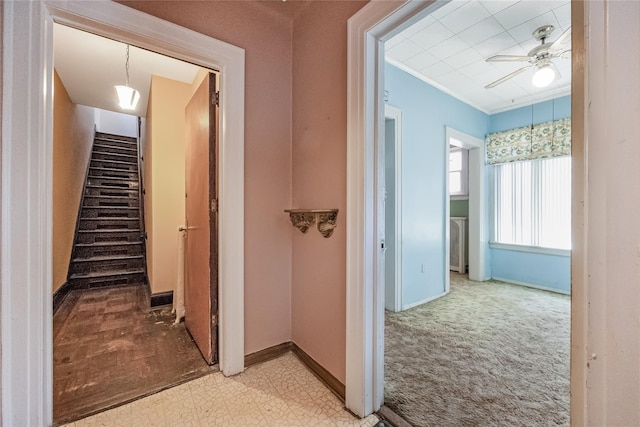 8731 98th St, Woodhaven, NY 11421 - photo 18
