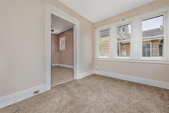 8731 98th St, Woodhaven, NY 11421 - photo 19
