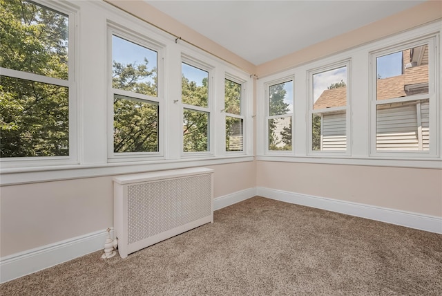 8731 98th St, Woodhaven, NY 11421 - photo 20