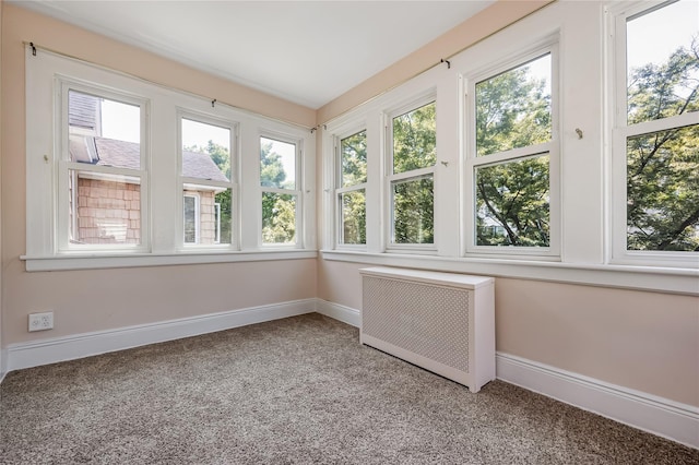 8731 98th St, Woodhaven, NY 11421 - photo 21