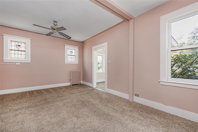 8731 98th St, Woodhaven, NY 11421 - photo 22