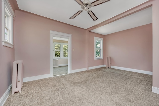 8731 98th St, Woodhaven, NY 11421 - photo 24