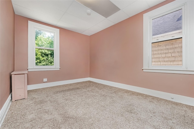 8731 98th St, Woodhaven, NY 11421 - photo 32