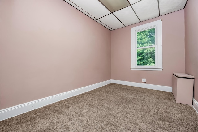 8731 98th St, Woodhaven, NY 11421 - photo 33