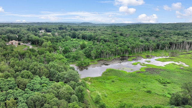 278 Fort Van Tyle Rd, Port Jervis, NY 12771 - aerial view of a heavily wooded area
