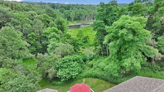 278 Fort Van Tyle Rd, Port Jervis, NY 12771 - drone / aerial view of a heavily wooded area and a large body of water