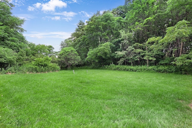 278 Fort Van Tyle Rd, Port Jervis, NY 12771 - view of grassy yard