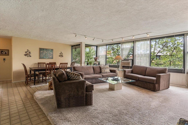 7-24 166th St Unit 8C, Beechhurst, NY 11357 - living area featuring track lighting and a textured ceiling