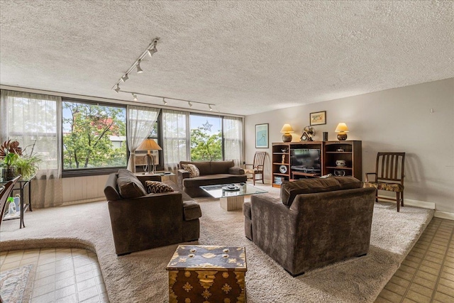 7-24 166th St Unit 8C, Beechhurst, NY 11357 - living room featuring rail lighting and a textured ceiling