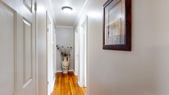 16-18 Claremont Ct, Middletown, NY 10940 - corridor featuring light wood-type flooring and ornamental molding