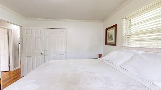 16-18 Claremont Ct, Middletown, NY 10940 - bedroom with ornamental molding, wood finished floors, and a closet
