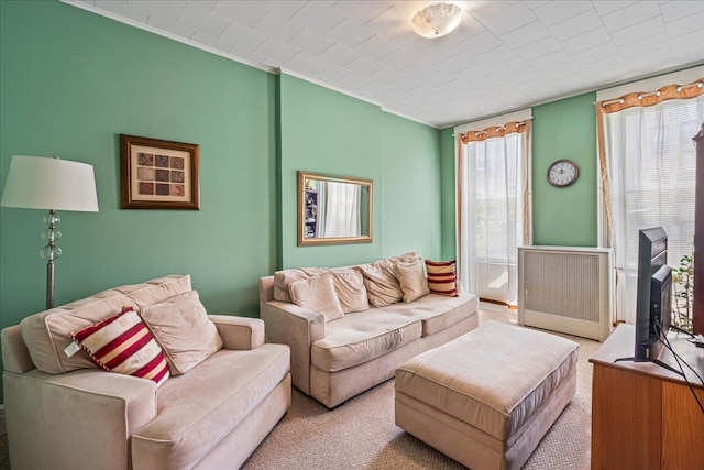 59-30 70th Ave, Ridgewood, NY 11385 - living area with carpet floors and crown molding